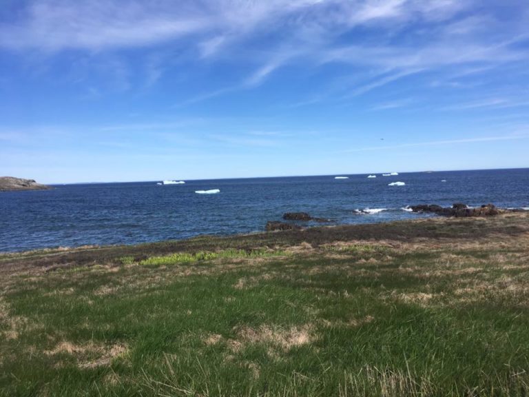 20265122_286260578514488_6790312794402285826_n Robbins by the Sea